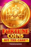 Fortune Coins slot más popular en MXFAIR COM
