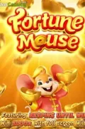 Fortune Mousse en MXFAIR COM